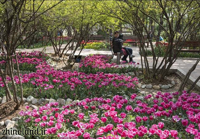 باغ ایرانی در بهار